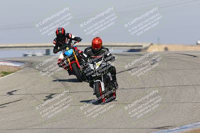 media/Feb-10-2023-TrackDaz (Fri) [[827c11d241]]/C Group/1245pm (Outside Grapevine)/